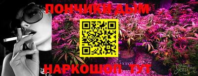 мдпв Кингисепп