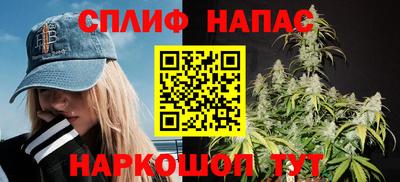 крисы Кинель