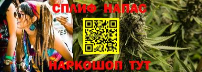 мдпв Кингисепп