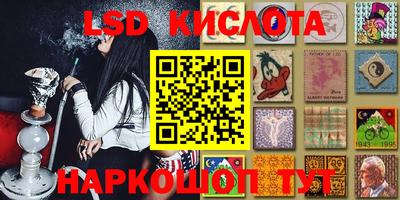 крисы Кинель