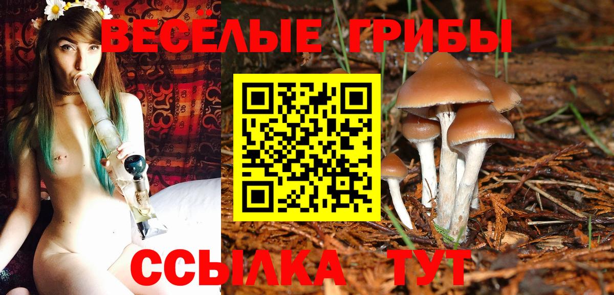 Шарыпово  Галлюциногенные грибы прущие грибы  Вход с VPN  Галлюциногенные грибы MAGIC MUSHROOMS 