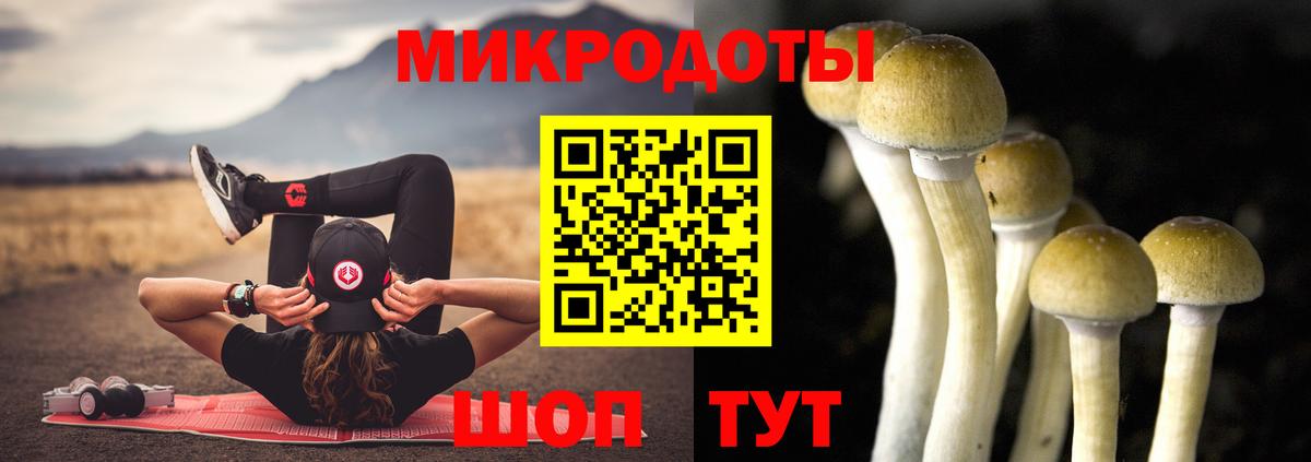 Псилоцибиновые грибы мухоморы Шарыпово